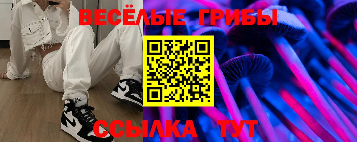 Псилоцибиновые грибы мицелий  Вход с VPN  Галлюциногенные грибы MAGIC MUSHROOMS  дарнет шоп  Бердск 